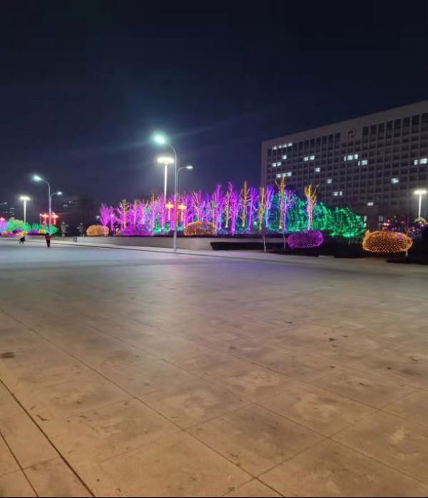 赤峰市红山区2022年春节亮化项目
