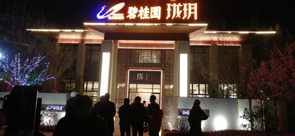 碧桂园弱电及售楼处亮化发光字项目